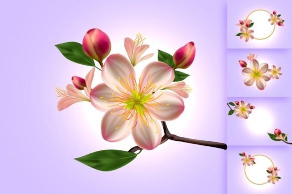 Download Vector 3D Cherry Blossom Illustrations - Illustration Collection