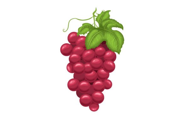 Download Grape Red Cartoon Vector Illustration - Illustration Collection